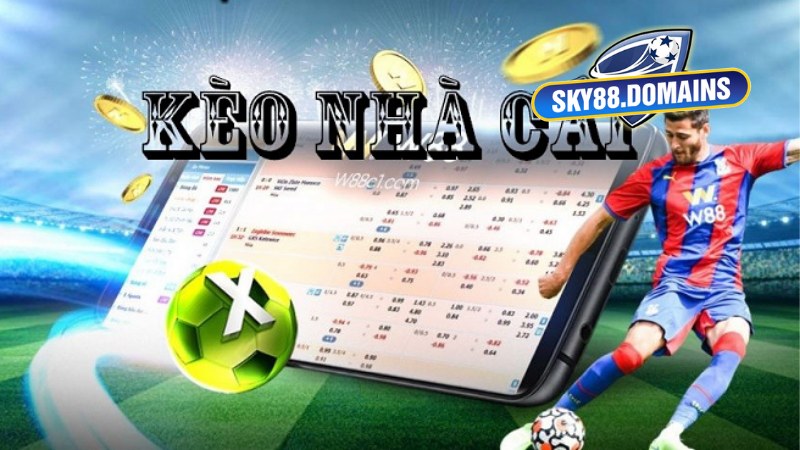 Cách Chơi Kèo Tài Xỉu